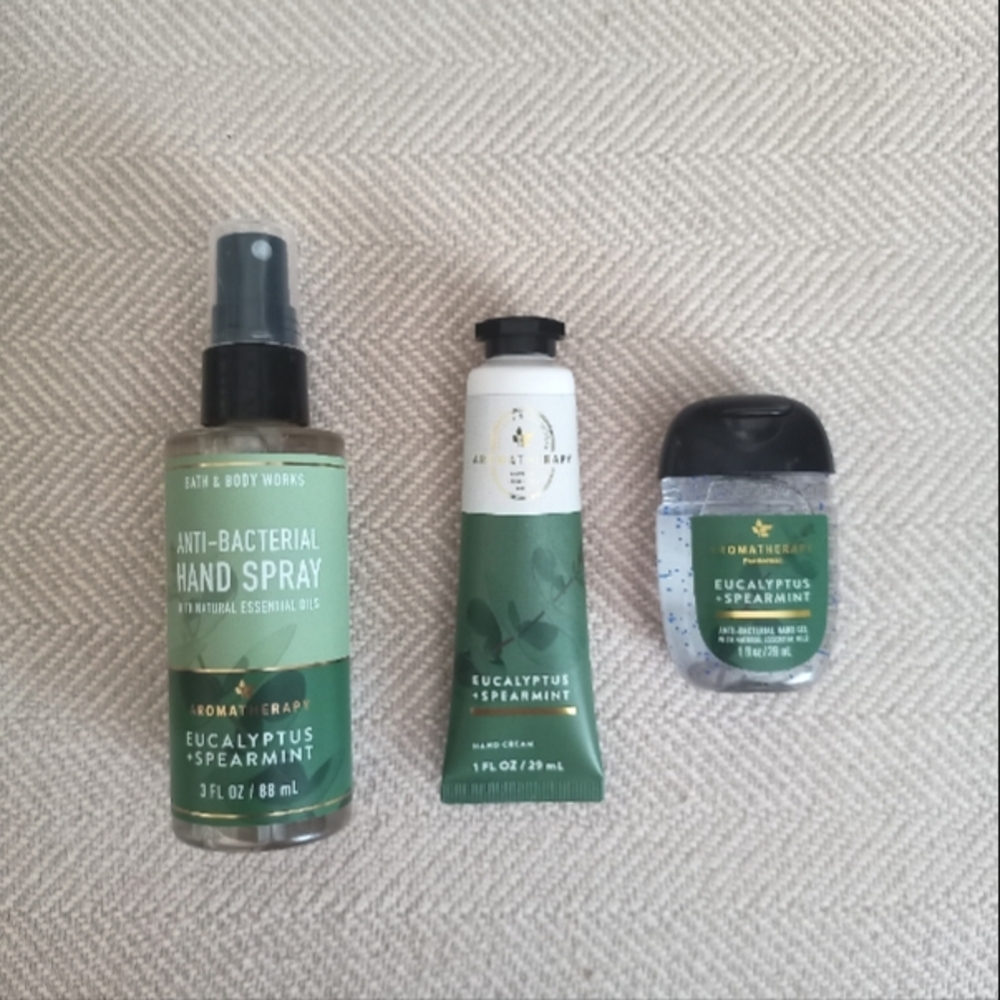 Bath & Body Works Aromatherapy Eucalyptus + Spearmint gift set